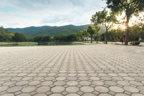 Best Driveway Paver Sealing  in Mayer, MN